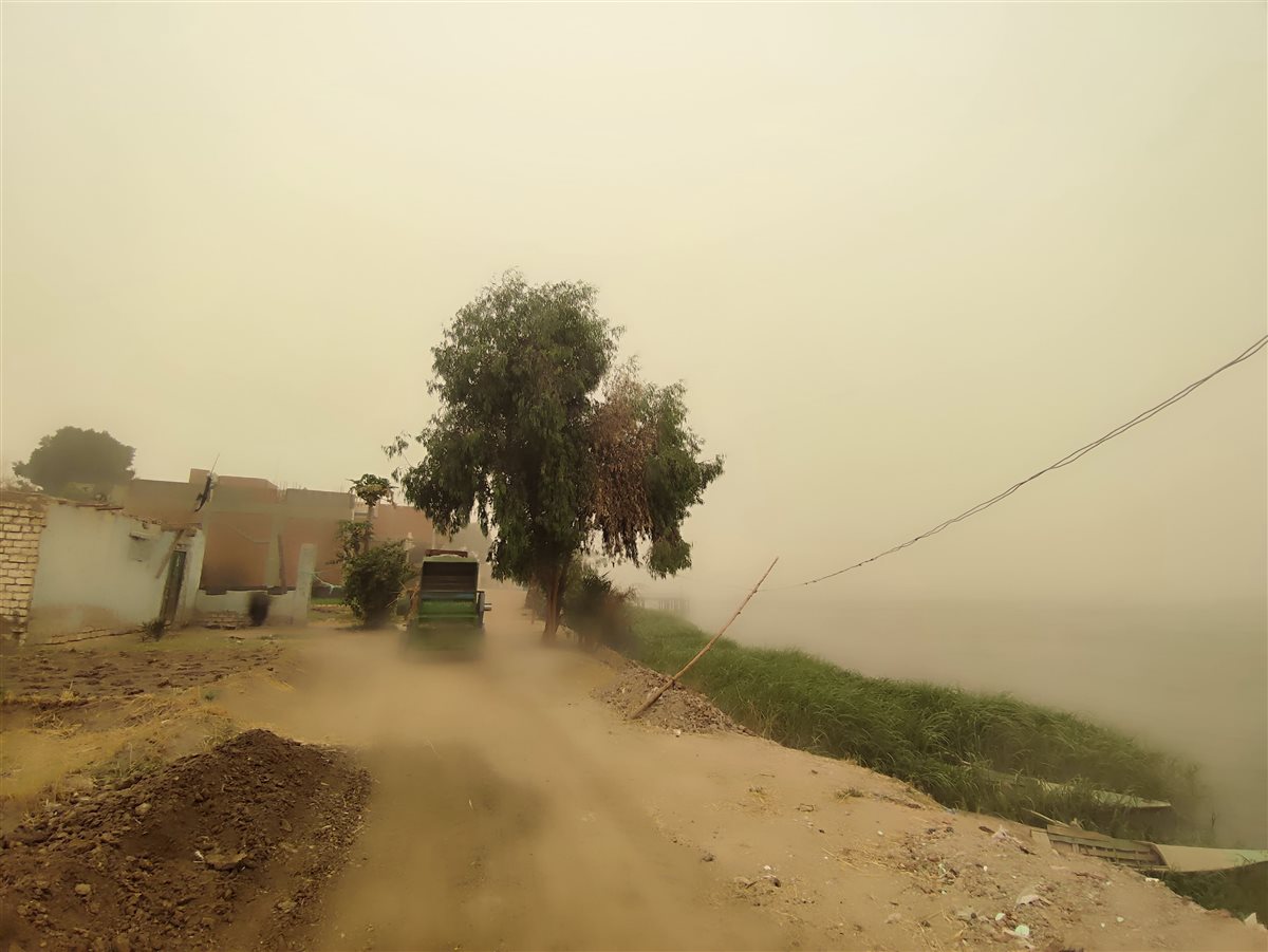 رياح مثيرة للرمال والأتربة وضعف مستوى الرؤية.. كيف تأثرت سوهاج بالعاصفة والطقس السيئ؟| صور