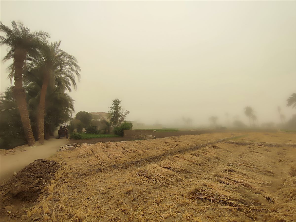 رياح مثيرة للرمال والأتربة وضعف مستوى الرؤية.. كيف تأثرت سوهاج بالعاصفة والطقس السيئ؟| صور