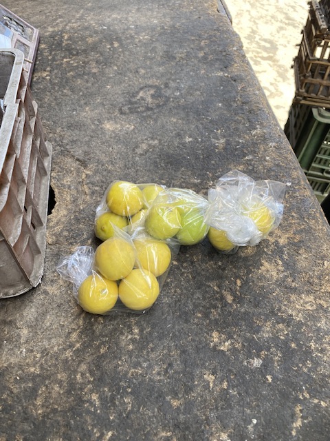 احمد واكياس ليمون صغيرة لمواجهة غلاء سعرة 