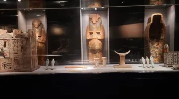 للزائر الأجنبي بـ220 جنيهًا.. موعد وأسعار تذاكر زيارة متحف التحنيط بالأقصر