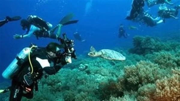 زيادة فى أعداد الرحلات البحرية.. البحر الأحمر قبلة عاشقي الغطس والاسنوركلنج| صور زيادة فى أعداد الرحلات البحرية.. البحر الأحمر قبلة عاشقي الغطس والاسنوركلنج| صور