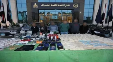 قرار بضبط وإحضار 3 متهمين هاربين في قضية المنتجة سارة خليفة