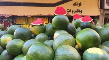 نقيب الفلاحين للمواطنين: ماتشتروش بطيخ دلوقتي سعره هيوصل لـ 20 جنيهًا بعد شهر
