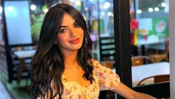 إحالة البلوجر سوزي الأردنية إلى المحاكمة الجنائية بتهمة نشر أخبار كاذبة إحالة البلوجر سوزي الأردنية إلى المحاكمة الجنائية بتهمة نشر أخبار كاذبة