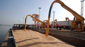 العربية: مصر تستهدف استيراد 13 مليون طن قمح في العام المالي الجديد