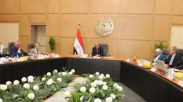 رسميًا.. فصل المصرية لنقل الكهرباء عن القابضة وتفعيل دورها كمشغل مستقل للشبكة