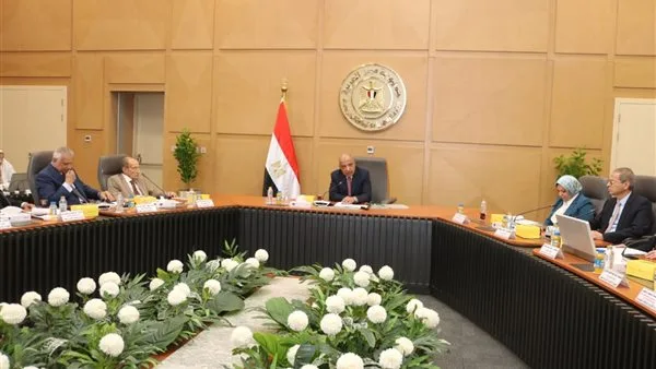 رسميًا.. فصل المصرية لنقل الكهرباء عن القابضة وتفعيل دورها كمشغل مستقل للشبكة