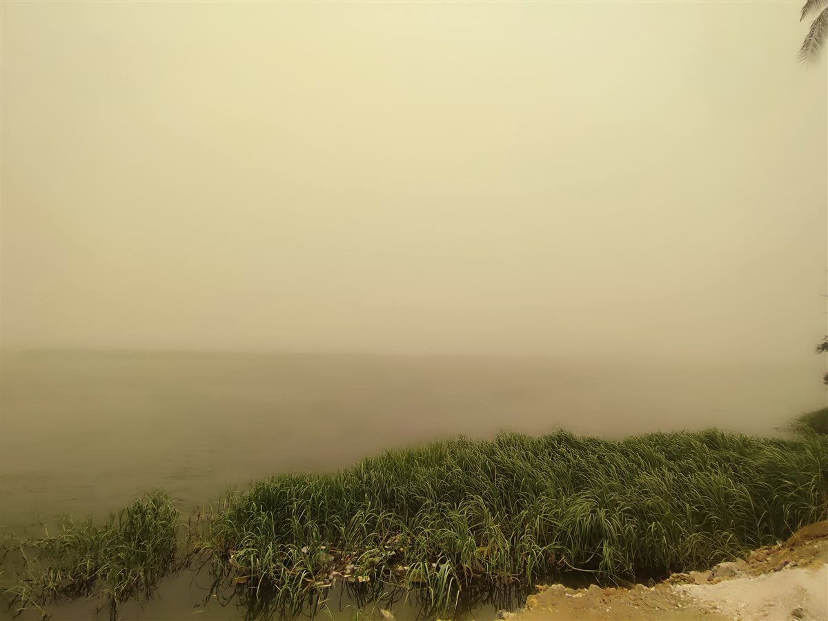 رياح مثيرة للرمال والأتربة وضعف مستوى الرؤية.. كيف تأثرت سوهاج بالعاصفة والطقس السيئ؟| صور