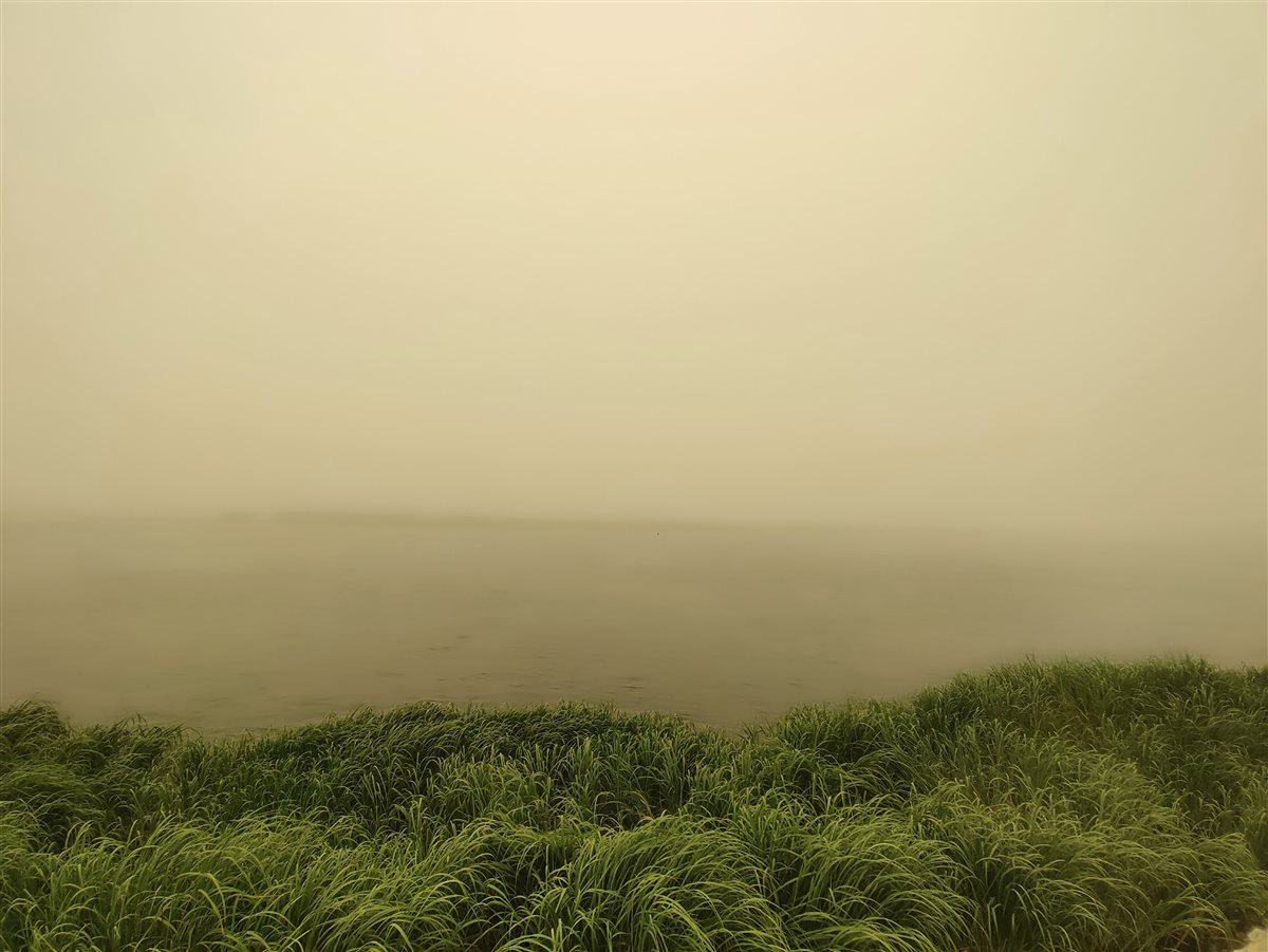 رياح مثيرة للرمال والأتربة وضعف مستوى الرؤية.. كيف تأثرت سوهاج بالعاصفة والطقس السيئ؟| صور