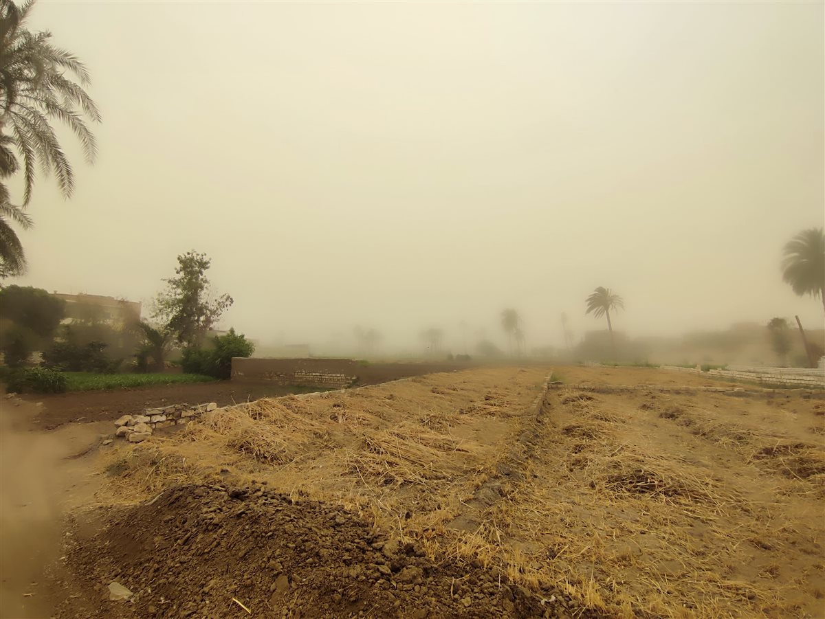 رياح مثيرة للرمال والأتربة وضعف مستوى الرؤية.. كيف تأثرت سوهاج بالعاصفة والطقس السيئ؟| صور