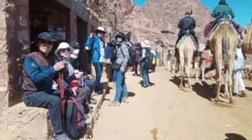 455 سائحا يزورون المقدسات الدينية والتاريخية في سانت كاترين