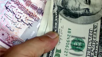 صندوق النقد يخفض توقعاته لمتوسط سعر صرف الجنيه أمام الدولار لأقل من 50 جنيهًا