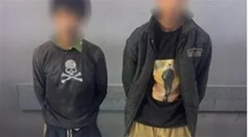 بأسلوب التسلق.. القبض على المتهمين بسرقة كشاف من أحد أعمدة الإنارة بالسلام