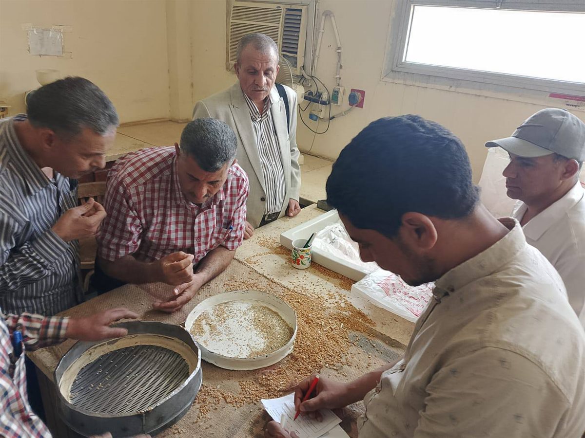 وكيل وزارة التموين: استلام 9015 طن قمح بصوامع محافظة سوهاج | صور