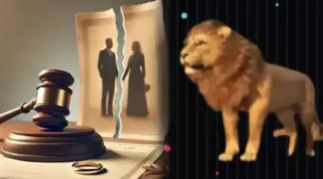 ادعموني وابعتولي هدايا| زوج يطلق زوجته بسبب أسد تيك توك.. والأخيرة ترفع دعوى نفقات