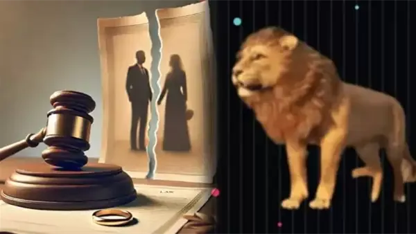 ادعموني وابعتولي هدايا| زوج يطلق زوجته بسبب أسد تيك توك.. والأخيرة ترفع دعوى نفقات