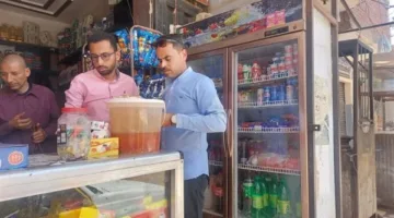 حملات لضبط المخالفات الصحية والتموينية ببني سويف