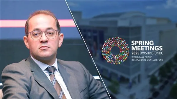 وزير المالية: خفض تكلفة التمويل بالبلدان النامية يسهم في توفير فرص استثمارية متنوعة وزير المالية: خفض تكلفة التمويل بالبلدان النامية يسهم في توفير فرص استثمارية متنوعة