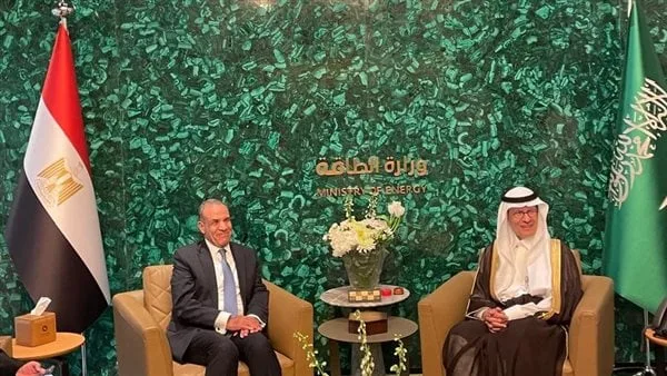 وزير الخارجية يؤكد استعداد مصر للدخول كشريك استراتيجي مع السعودية بمشروعات الطاقة الخضراء