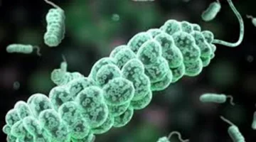 يسبب عدوى الإشريكية القولونية.. دراسة تكشف عن خطورة الحليب غير المبستر