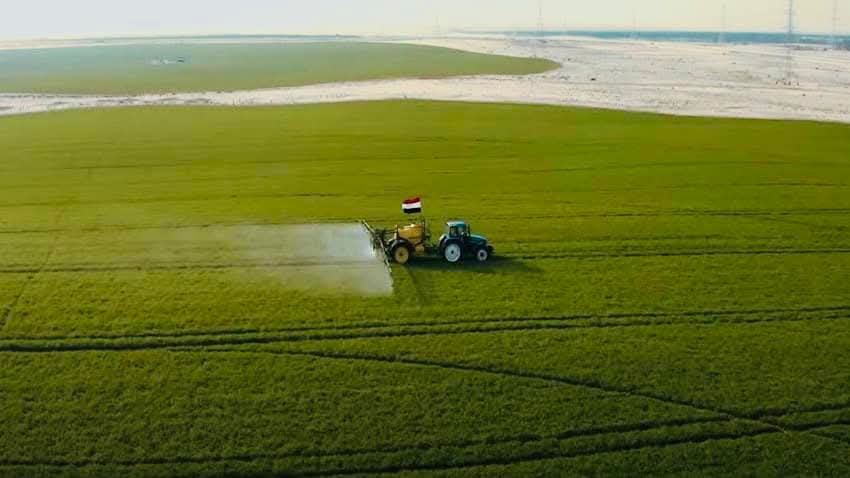 مشروعات جهاز مستقبل مصر