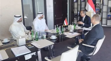 بالتعاون مع شريك محلي.. شركة Honor تخطط لتصنيع الهواتف المحمولة في مصر