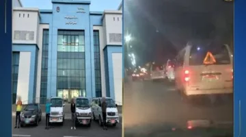 كيلو الفراخ بـ70 جنيها.. العضو المنتدب لشركة دلتا مصر: تراجع كبير بأسعار الدواجن والبيض لهذه الأسباب