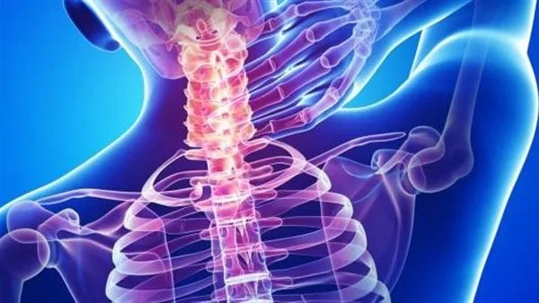 أبرزها حوادث السيارات.. أسباب قطع الحبل الشوكي أبرزها حوادث السيارات.. أسباب قطع الحبل الشوكي