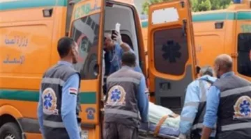 أثناء عبور الطريق.. إصابة شخص سوداني صدمته سيارة ملاكي بمصر الجديدة