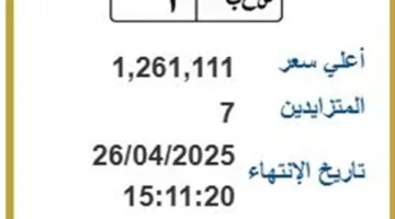 أنس وهبه.. لوحات مرور مميزة في مصر بأسعار تصل إلى 1،2 مليون جنيه