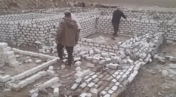 إزالة 88 حالة تعد على الأراضي الزراعية بالمنوفية خلال المرحلة الثالثة من الموجة 25