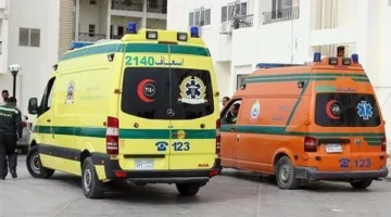 إصابة شخصين في انقلاب سيارة ربع نقل بالعريش