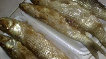 إقبال كبير على شراء الفسيخ والرنجة بالتزامن مع احتفالات شم النسيم | بث مباشر