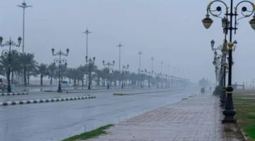 استمرار موجة الأمطار الرعدية والغبار على معظم مدن السعودية