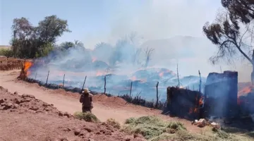 اشتعال النيران في إحدى شون القمح بالوادي الجديد | صور