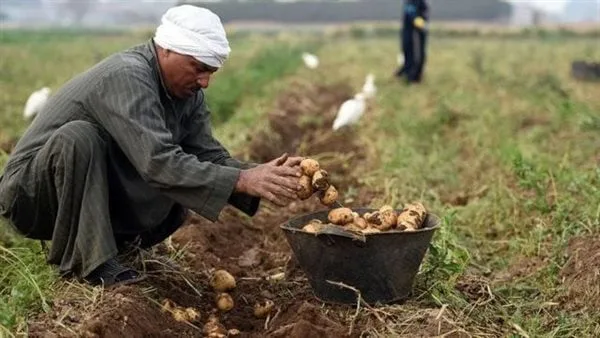 الجريدة الرسمية تنشر قرار اعتماد أوراق تأسيس النقابة العامة للفلاحين وصغار المزارعين الجريدة الرسمية تنشر قرار اعتماد أوراق تأسيس النقابة العامة للفلاحين وصغار المزارعين