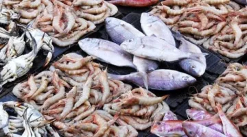 الجمبري الجامبو بـ600 جنيه.. أسعار الأسماك اليوم الأربعاء 30 أبريل 2025