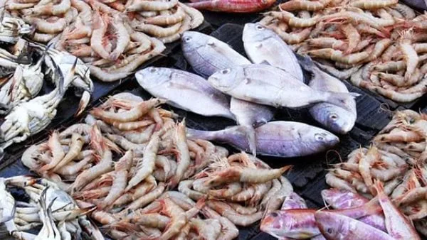 الجمبري الجامبو بـ600 جنيه.. أسعار الأسماك اليوم الأربعاء 30 أبريل 2025