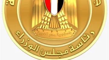 الحكومة: تراجع معدل البطالة إلى أدنى مستوياته منذ 35 عامًا