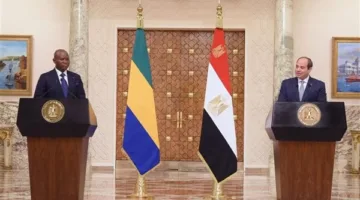 الرئيس السيسي يجري اتصالًا هاتفيًا بنظيره الجابوني للتهنئة بفوزه في الانتخابات