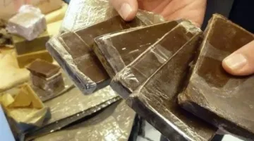 السجن 5 سنوات لمتهم بالإتجار في الحشيش برأس سدر