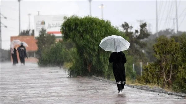 الطقس اليوم في السعودية.. العظمى 45 درجة مع استمرار الأمطار الرعدية الطقس اليوم في السعودية.. العظمى 45 درجة مع استمرار الأمطار الرعدية
