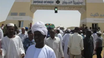 الطلاب السودانيون في مصر يوجهون رسالة شكر للمصريين: سلامات من وادي النيل لشعب جميل