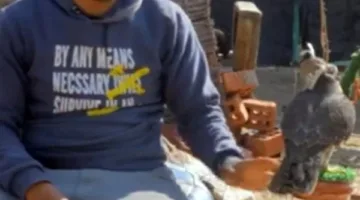 القبض على شابين بالقاهرة استخدما صقرين لتحصيل مبالغ مالية من المارة نظير التصوير معهما