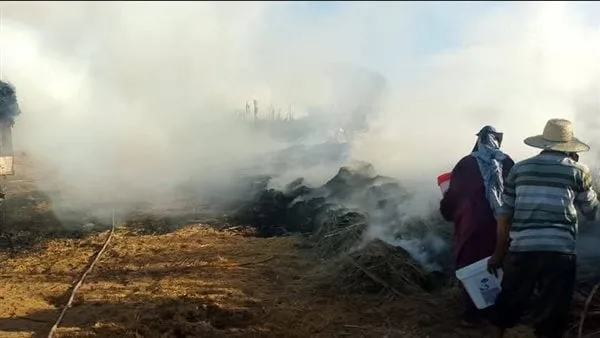 اندلاع حريق في فدان قمح بقنا