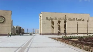 بتكلفة 10.5 مليار جنيه.. جامعة الملك سلمان أول جامعة ذكية بـ 3 فروع في سيناء