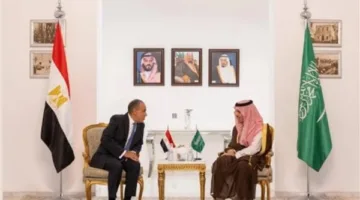 برئاسة وزيري خارجية البلدين.. انعقاد لجنة المتابعة والتشاور السياسي المصري السعودي