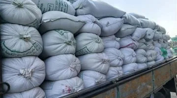 بشائر الخير.. التموين تعلن استلام 600 طن قمح في الأقصر