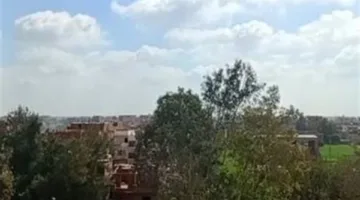 بعد انكسار الموجة الحارة.. طقس معتدل على جميع مدن ومحافظات الجمهورية | بث مباشر