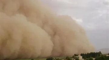 بعد توجيه الوزير.. الجامعات تعلن تعطيل الدراسة غدًا لسوء الأحوال الجوية | بث مباشر